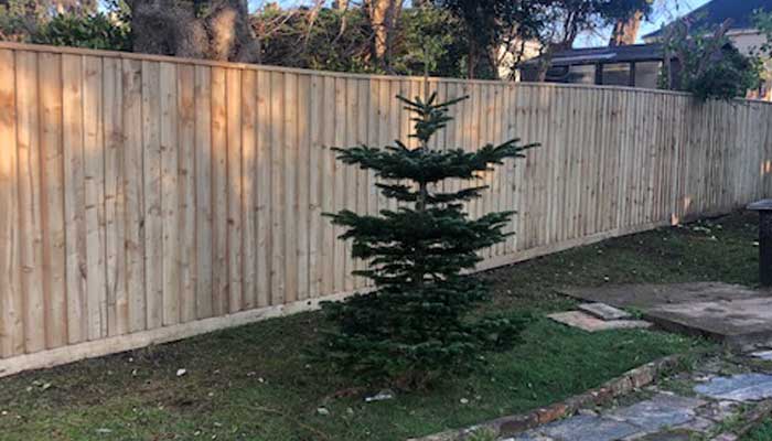 New Fencing