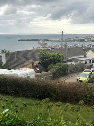 Tree Felling, Penzance Hotel